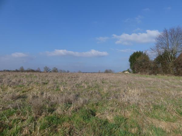 Terrain à batir 2 458 m² - libre constructeur