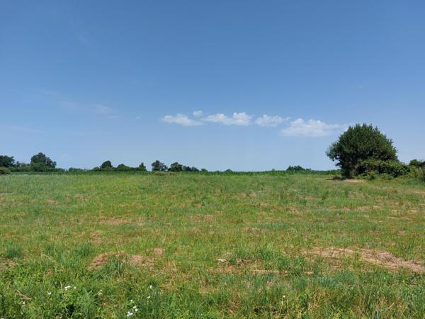 Terrain à batir 2 458 m² - libre constructeur