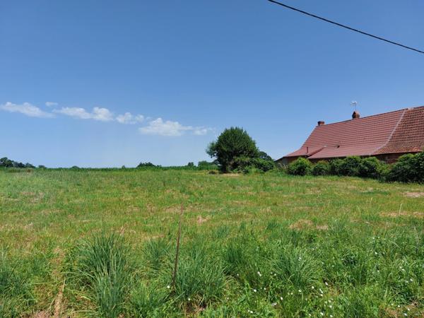 Terrain à batir 2 458 m² - libre constructeur