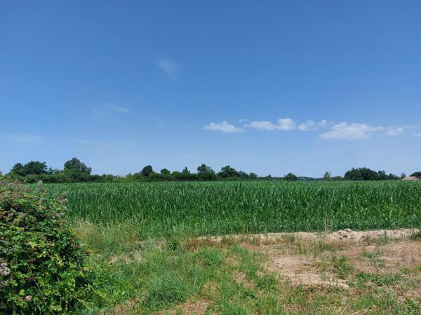 Terrain à batir 2 458 m² - libre constructeur