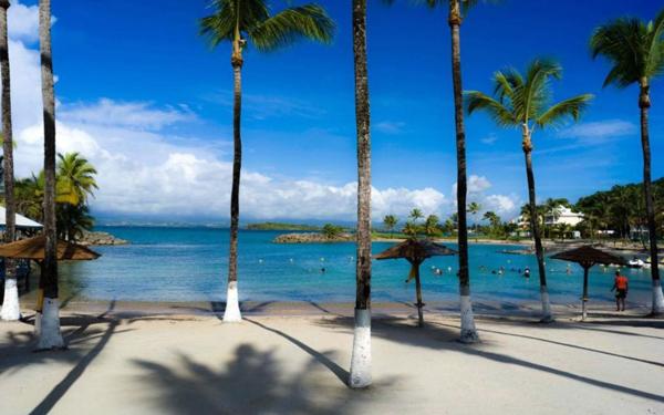 Appartement à vendre    2 pièces • 44,55 m2 Le Gosier