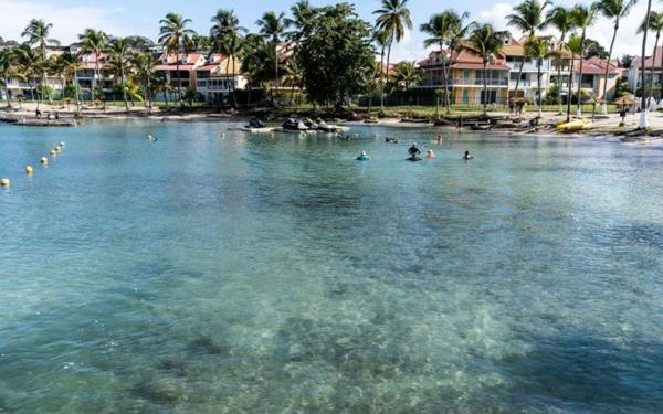 Appartement à vendre    2 pièces • 44,55 m2 Le Gosier