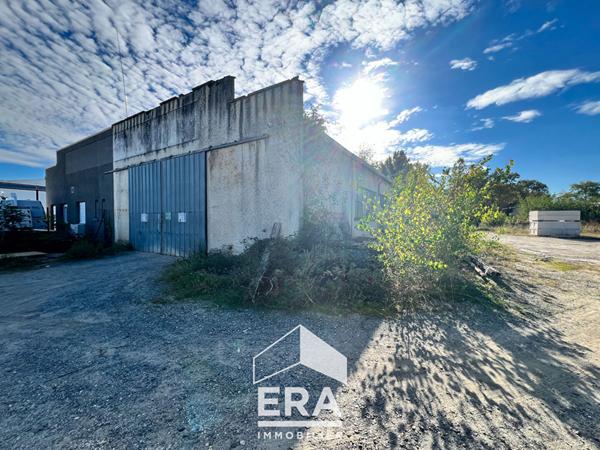 Local d'activité Saint-Juery avec grand terrain