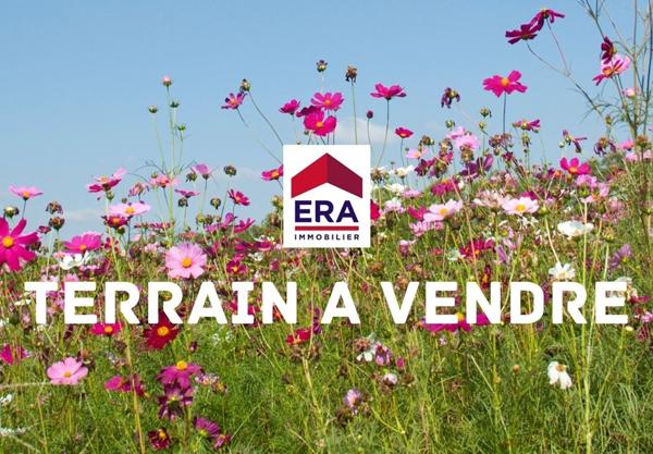 TOULOUSE PATTE D OIE BOURRASSOL TERRAIN Rue Calme