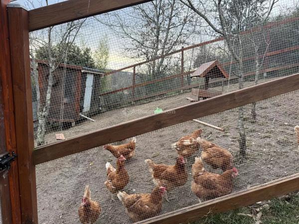 Vente Maison 4 pièces 97 m2 à Carmaux