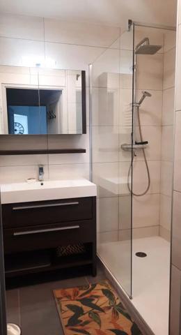 Appartement à louer à Albertville (73200)