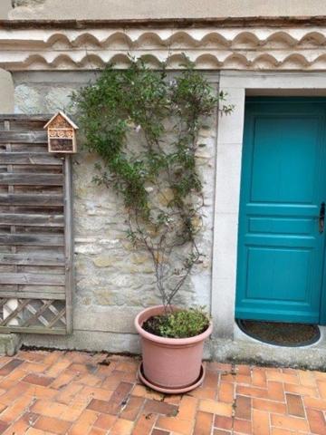 Dpt Aude (11), à vendre CARCASSONNE appartement T4 de 126 m²  3 chambres 1 terrasse