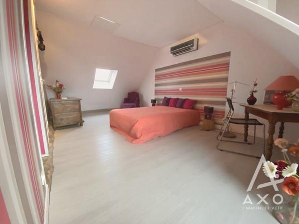 Fermette entièrement rénovée avec logement à OUZOUER SUR LOIRE