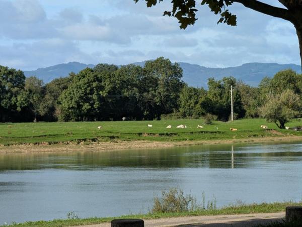 Vente / Maison T4 à Montmerle-sur-Saône (01090)