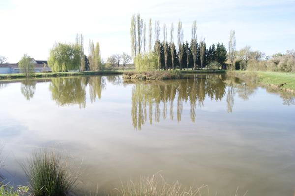 Etang de 4300 m2  à vendre  DOMERAT (03) sur terrain de 18627 m2