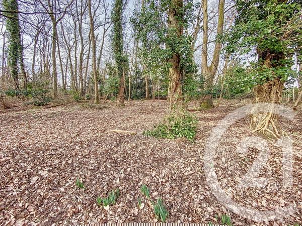 Terrain à vendre  1211 m2 ST PIERRE LES NEMOURS - 77