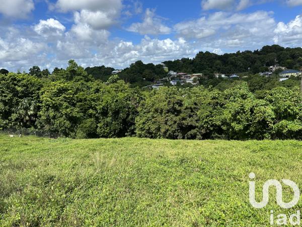 Terrain à vendre 1 259 m² Le Moule