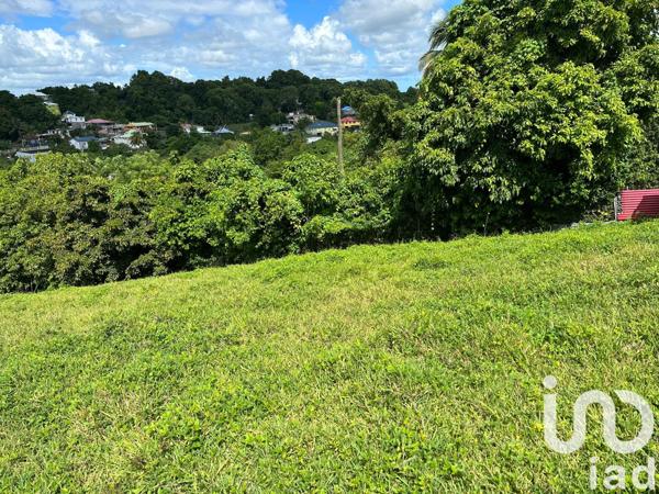 Terrain à vendre 1 259 m² Le Moule