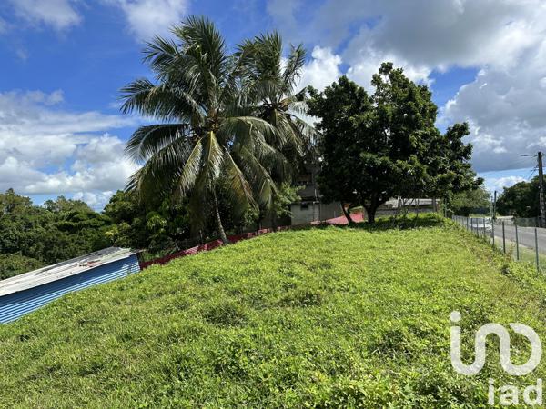 Terrain à vendre 1 259 m² Le Moule