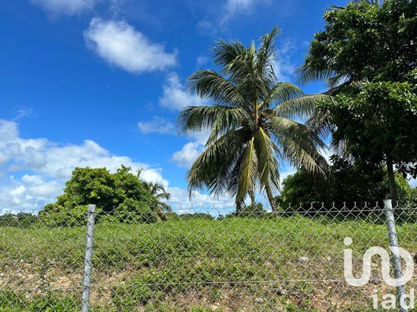 Terrain à vendre 1 259 m² Le Moule
