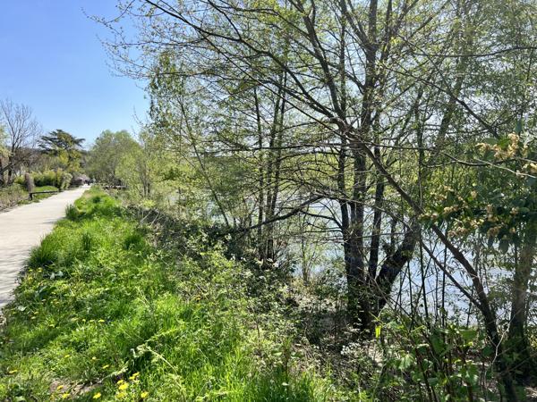 Saint-Privat (07200) BELLES PARCELLES CENTRE DE SAINT PRIVAT