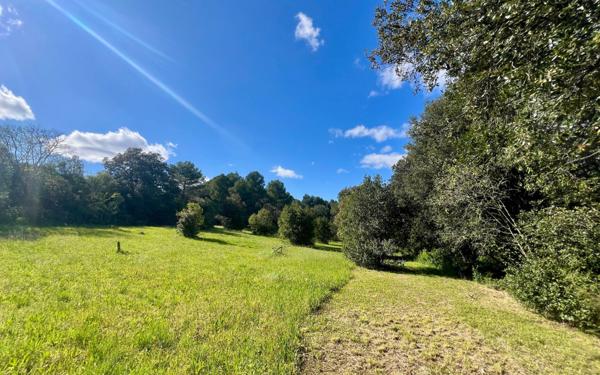 Maison à vendre    9 pièces •  Roujan