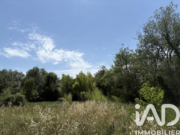 Terrain à vendre 1 012 m² Prades-le-Lez
