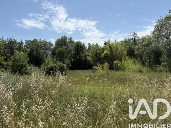 Terrain à vendre 1 012 m² Prades-le-Lez