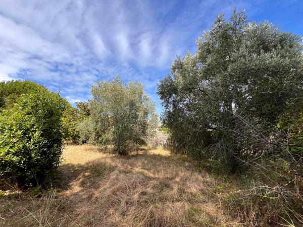 Île de Ré - Le Bois-Plage-en-Ré - Maison à ré-inventer sur une parcelle de plus 850 m2