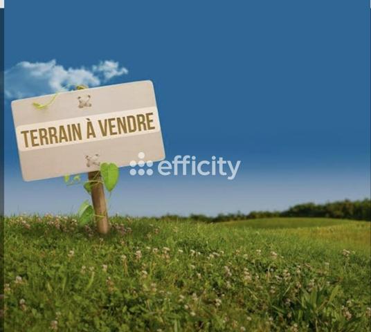 Terrain
        
        - 716 m² Exclusivité 208 000 € *