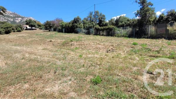 Terrain à vendre  1850 m2 LUMIO - 202