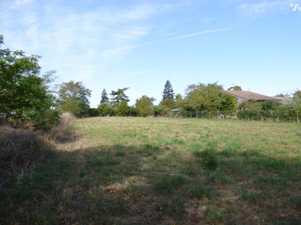 TERRAIN A BÂTIR - ARGENTONNAY