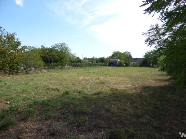 TERRAIN A BÂTIR - ARGENTONNAY