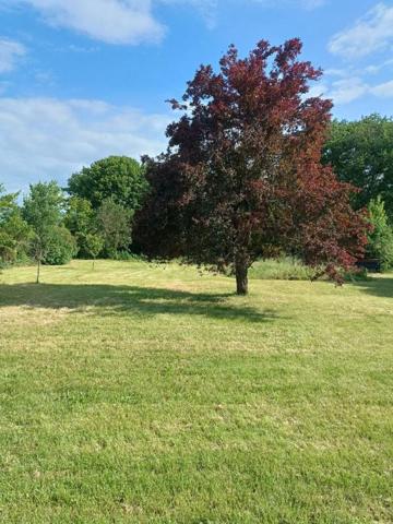 Maison Ciron (36300) - 5 pièces - 110m2