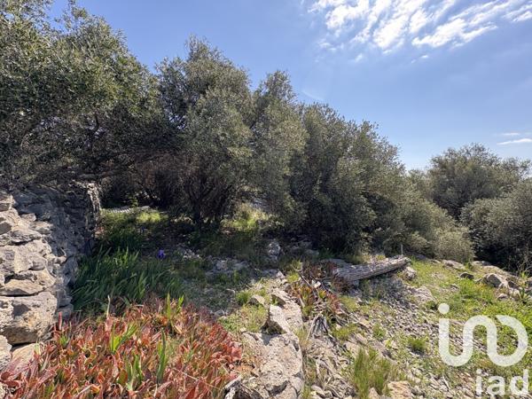 Terrain à vendre 729 m² La Palme