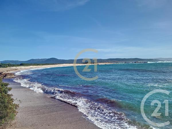 Appartement T2 à vendre  2 pièces - 50,70 m2 PIANOTOLLI CALDARELLO - 201