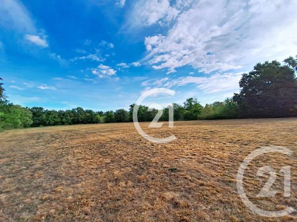 Maison à vendre  7 pièces - 268,50 m 2   LAVAUR  - 81