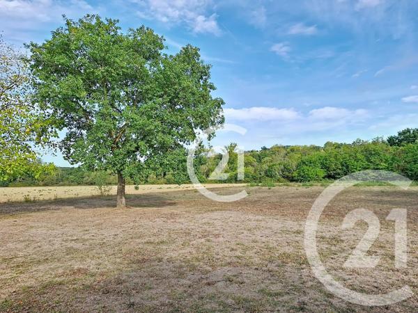 Maison à vendre  7 pièces - 268,50 m 2   LAVAUR  - 81
