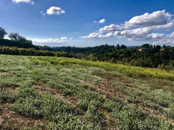 Saint-Paul-de-Vence (06570) Sur les hauteurs