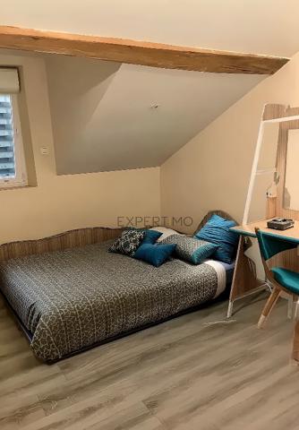 Tournus (71700) Maison P10 rénovée avec piscine, dépendance aménagée et tout le confort moderne