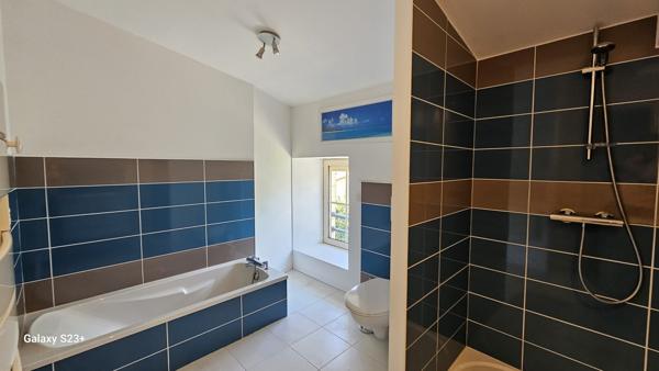 BELLE MAISON EN PIERRE 175 M² AVEC GRAND JARDIN DE 1491 M²