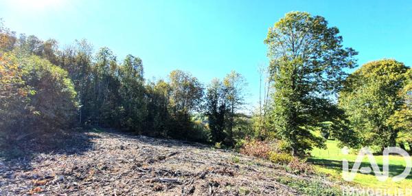 Terrain à vendre 2 500 m² Albussac