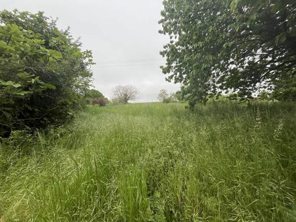 Terrain à vendre |  Sonneville |  1917 m²