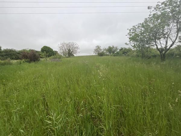 Terrain à vendre |  Sonneville |  1917 m²