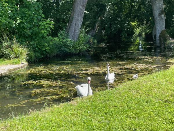 Moulin à vendre à Chef-Boutonne (79110) - Deux-Sèvres