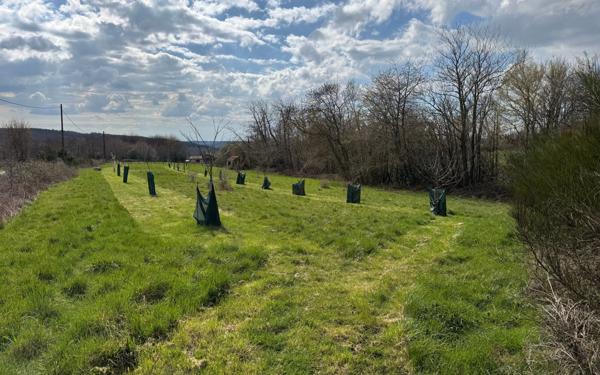 Maison à vendre    3 pièces •  Roybon