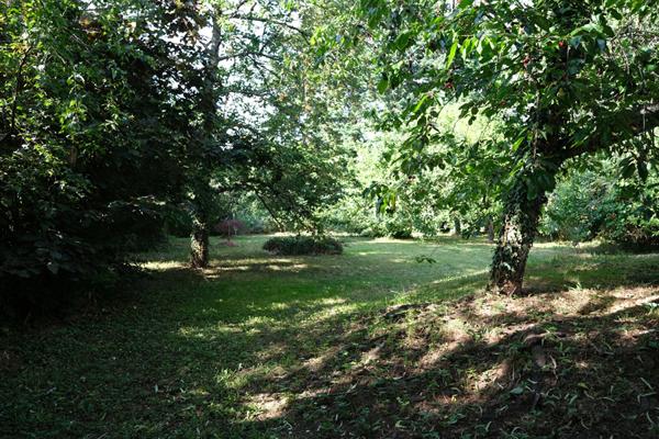 EXCLUSIVITÉ SORTIE VINEUIL