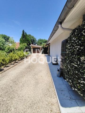 Maison landaise 5 chambres + piscine - MONT DE MARSAN