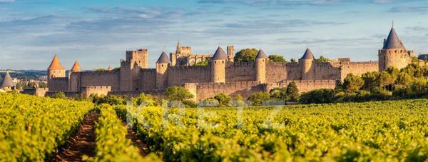Immeuble de rapport d’exception en cœur historique de Carcassonne – 500+ m² déployés pour un rendeme