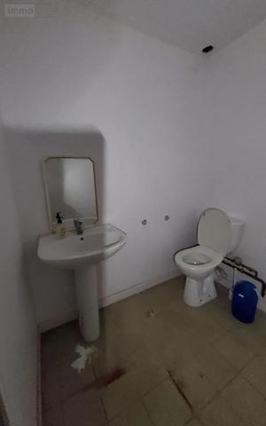 Location - Immeuble Carhaix-Plouguer 29270 500 m 2 1000 m 2