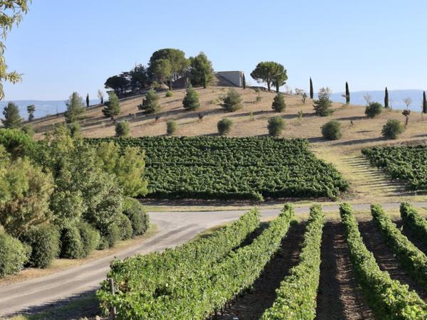 20 min de l'aéroport Salvaza de Carcassonne et 55 min de Toulouse Domaine d’Exception à Vendre Fanjeaux (11270)
