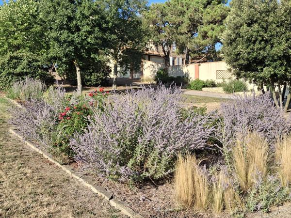 20 min de l'aéroport Salvaza de Carcassonne et 55 min de Toulouse Domaine d’Exception à Vendre Fanjeaux (11270)