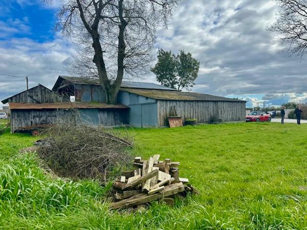 Terrain  + 2 Hangars 813 m2