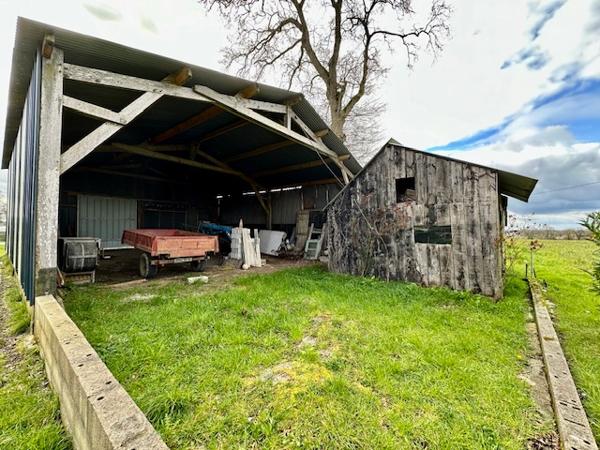 Terrain  + 2 Hangars 813 m2