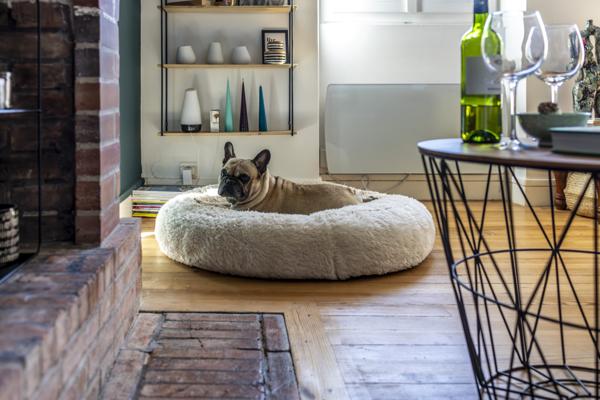 Anglet (64600) Magic View